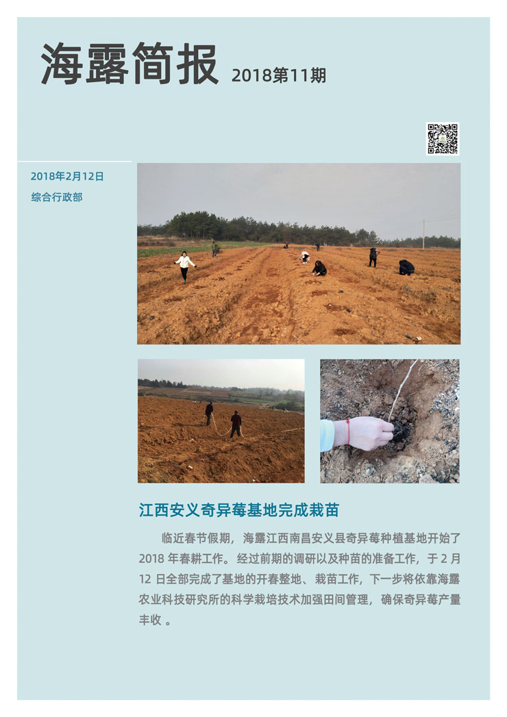 首页| PA视讯集团中国官方网站