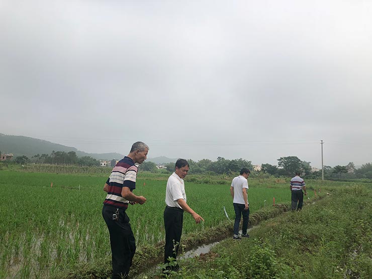 首页| PA视讯集团中国官方网站
