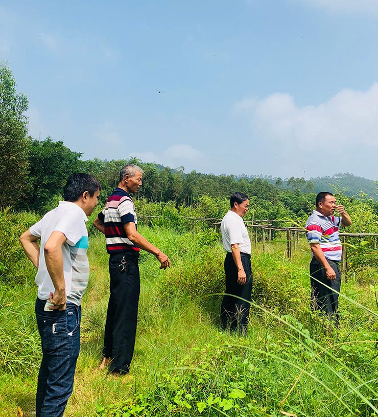 首页| PA视讯集团中国官方网站
