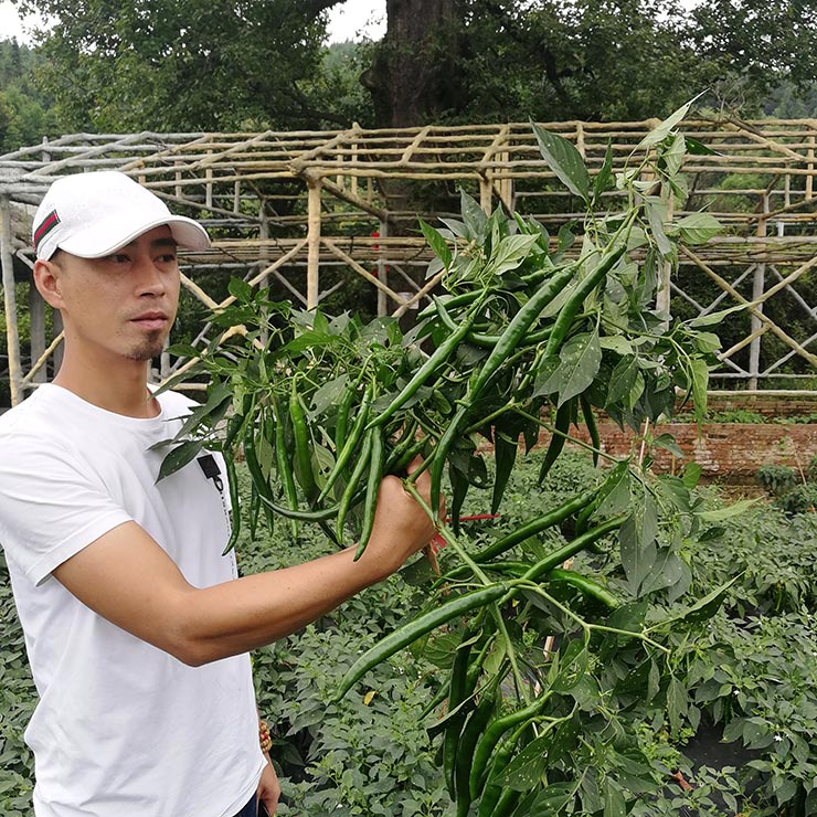 首页| PA视讯集团中国官方网站