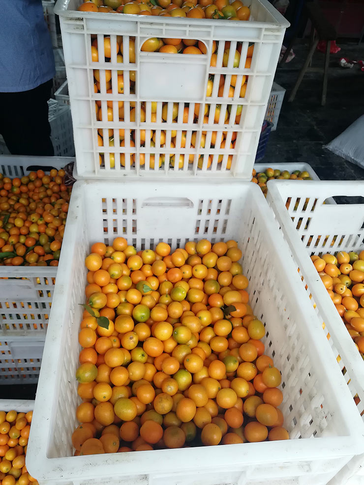 首页| PA视讯集团中国官方网站