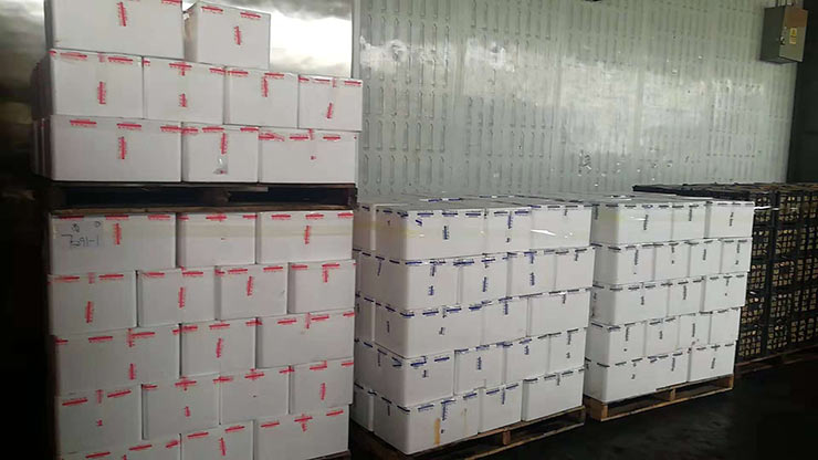 首页| PA视讯集团中国官方网站