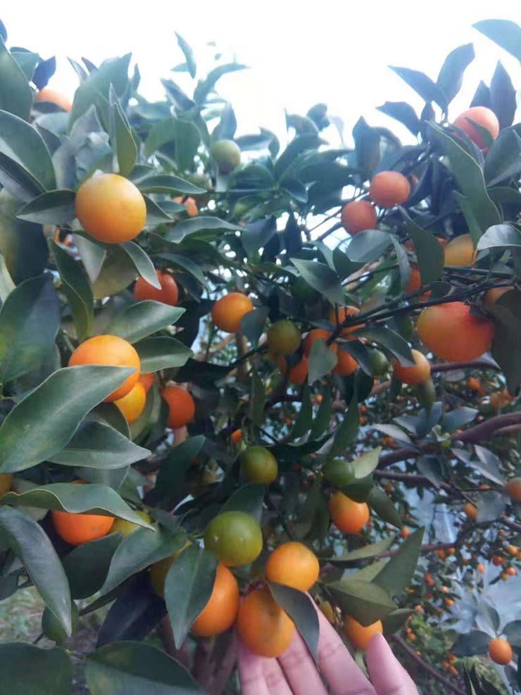 首页| PA视讯集团中国官方网站