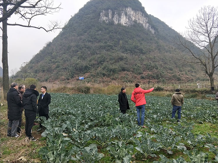 首页| PA视讯集团中国官方网站