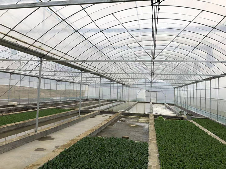 首页| PA视讯集团中国官方网站