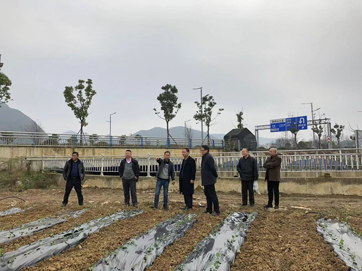 首页| PA视讯集团中国官方网站