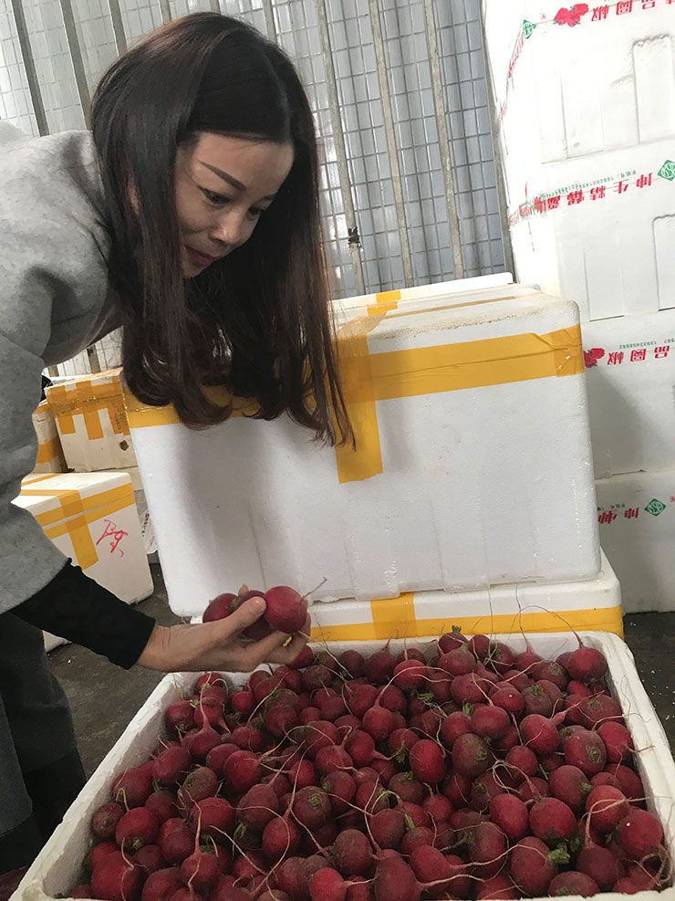 首页| PA视讯集团中国官方网站