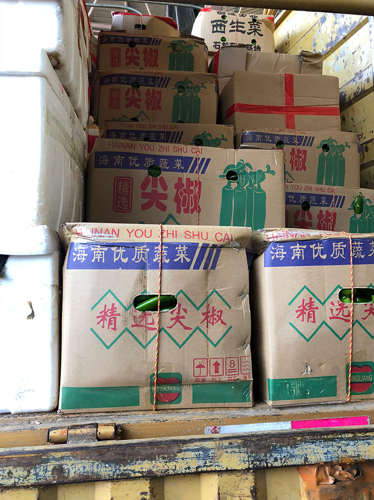 首页| PA视讯集团中国官方网站