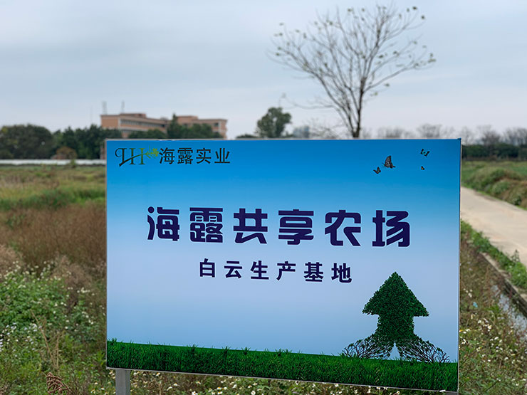 首页| PA视讯集团中国官方网站