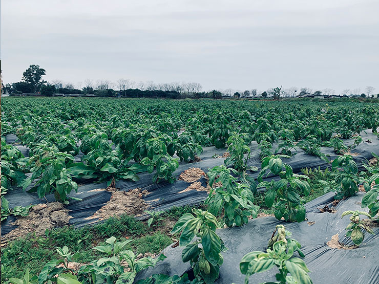 首页| PA视讯集团中国官方网站