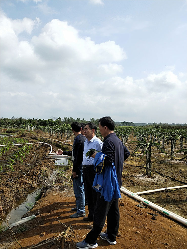 首页| PA视讯集团中国官方网站