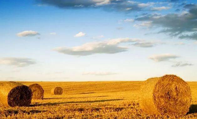 首页| PA视讯集团中国官方网站