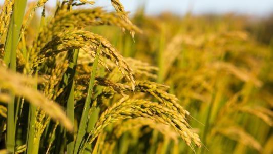 首页| PA视讯集团中国官方网站