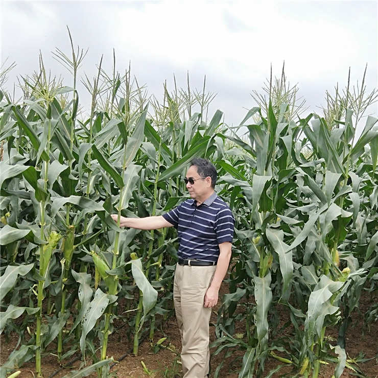 首页| PA视讯集团中国官方网站