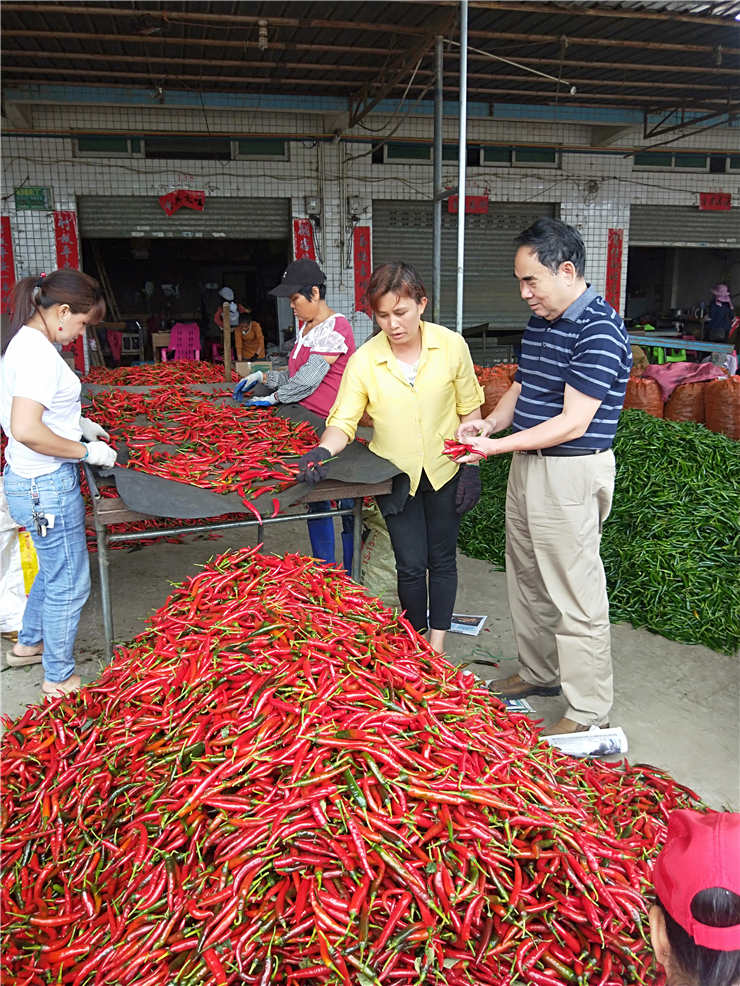 首页| PA视讯集团中国官方网站