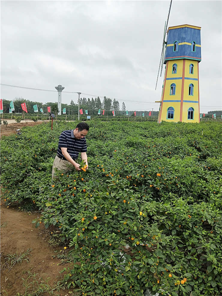 首页| PA视讯集团中国官方网站