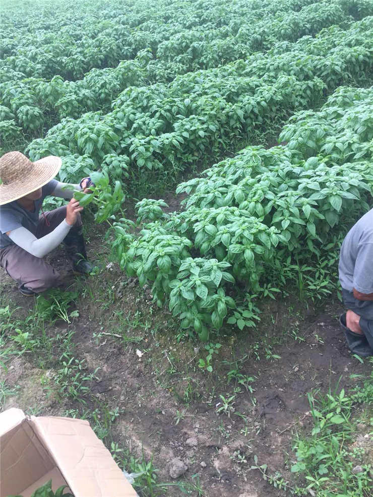 首页| PA视讯集团中国官方网站