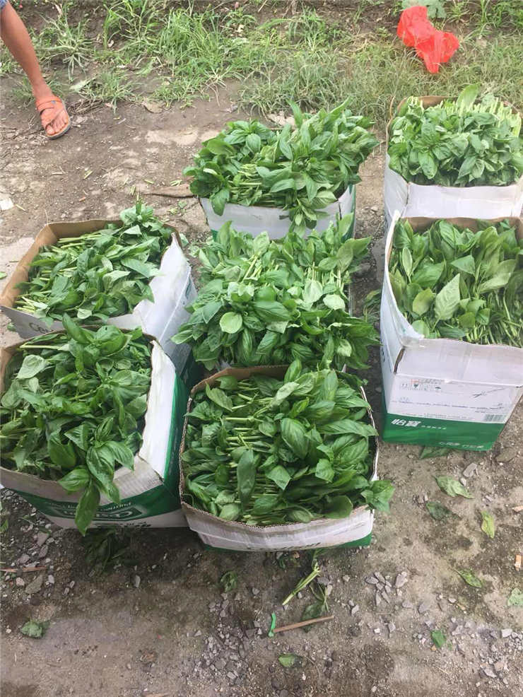 首页| PA视讯集团中国官方网站