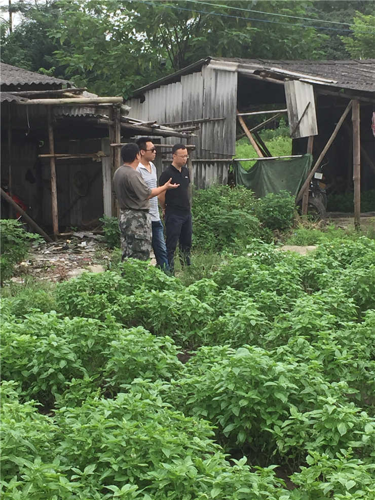 首页| PA视讯集团中国官方网站