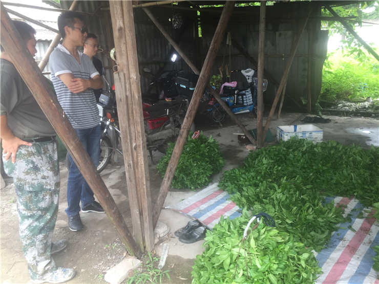 首页| PA视讯集团中国官方网站