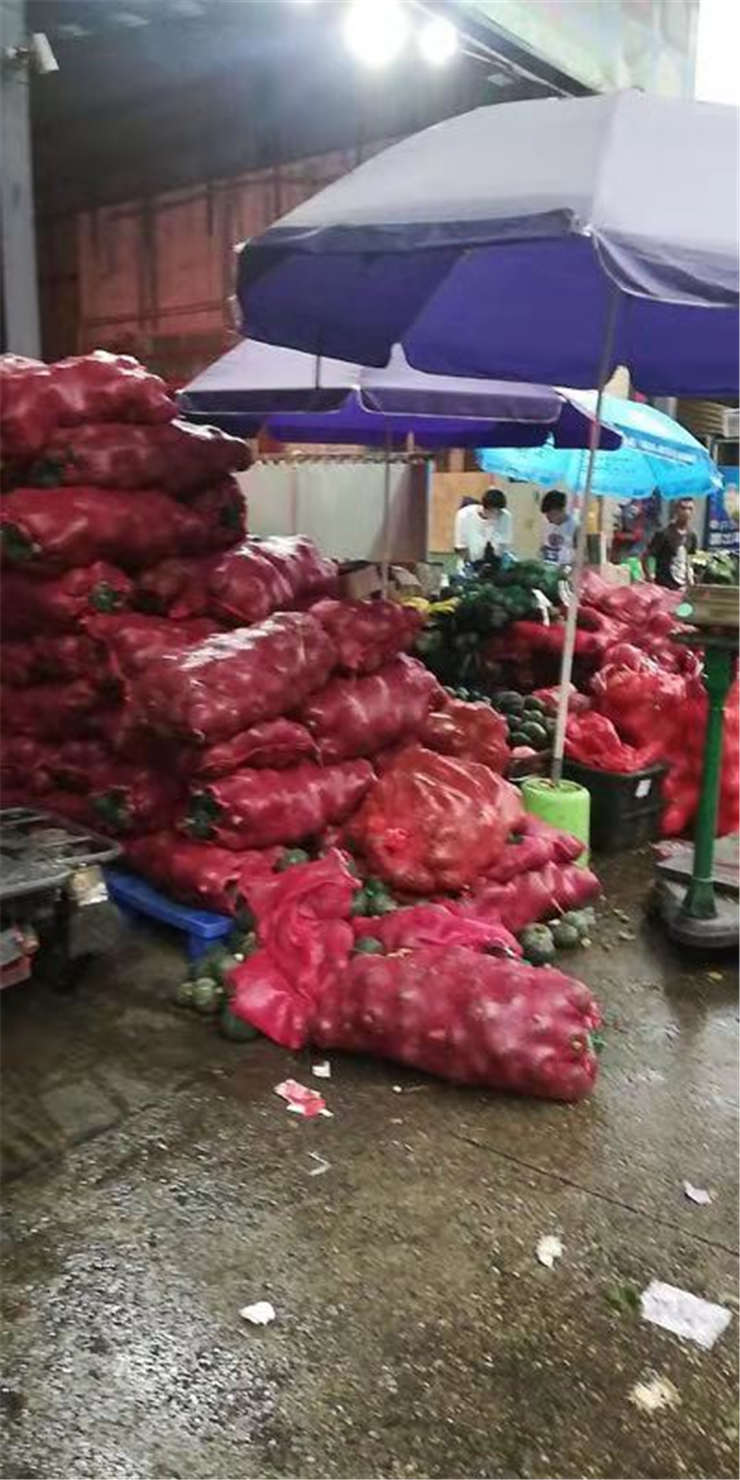 首页| PA视讯集团中国官方网站