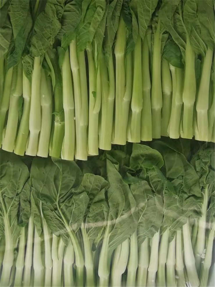 首页| PA视讯集团中国官方网站