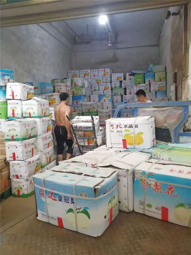 首页| PA视讯集团中国官方网站