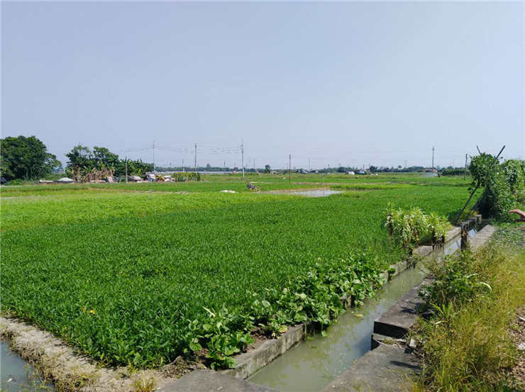 首页| PA视讯集团中国官方网站