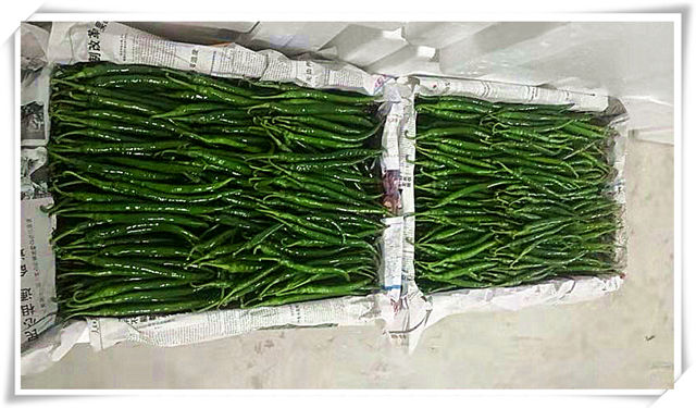 首页| PA视讯集团中国官方网站