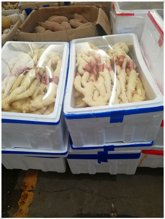 首页| PA视讯集团中国官方网站