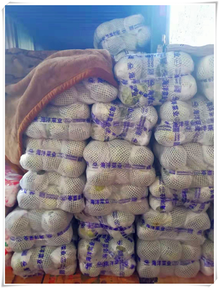 首页| PA视讯集团中国官方网站