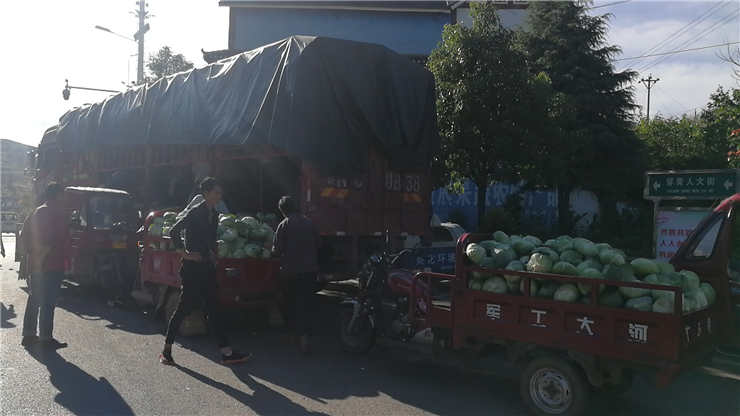 首页| PA视讯集团中国官方网站