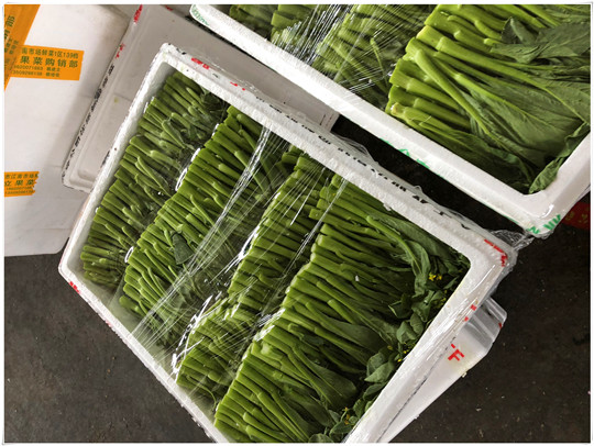 首页| PA视讯集团中国官方网站