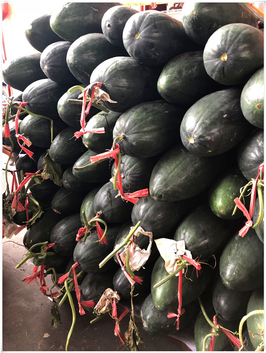 首页| PA视讯集团中国官方网站