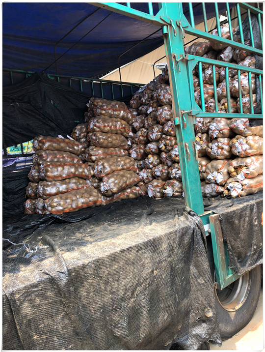 首页| PA视讯集团中国官方网站