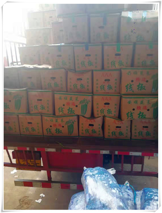 首页| PA视讯集团中国官方网站