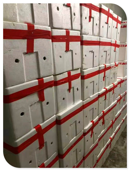 首页| PA视讯集团中国官方网站