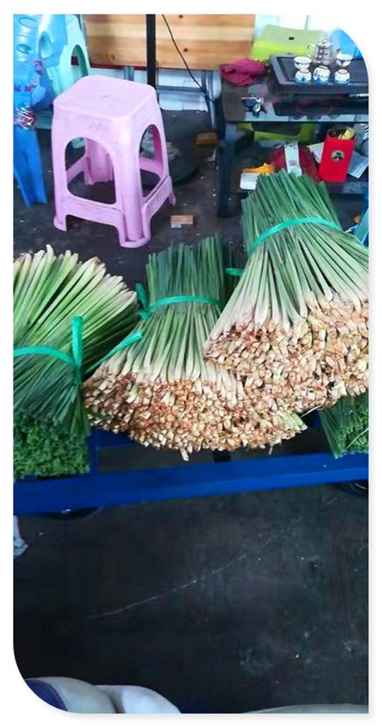 首页| PA视讯集团中国官方网站