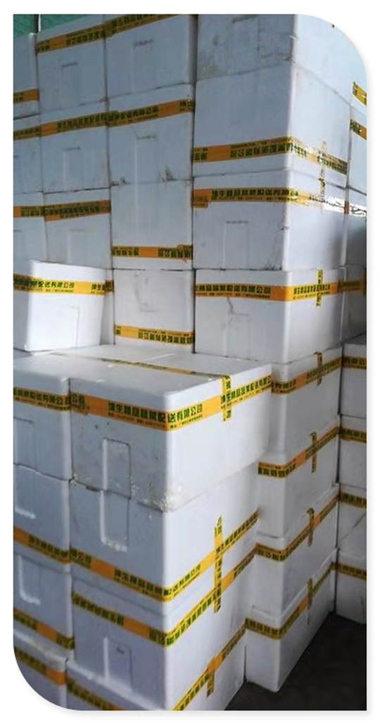 首页| PA视讯集团中国官方网站