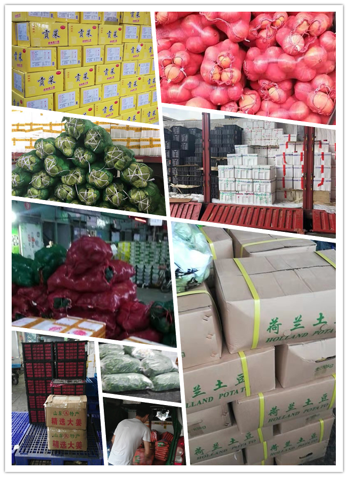 首页| PA视讯集团中国官方网站