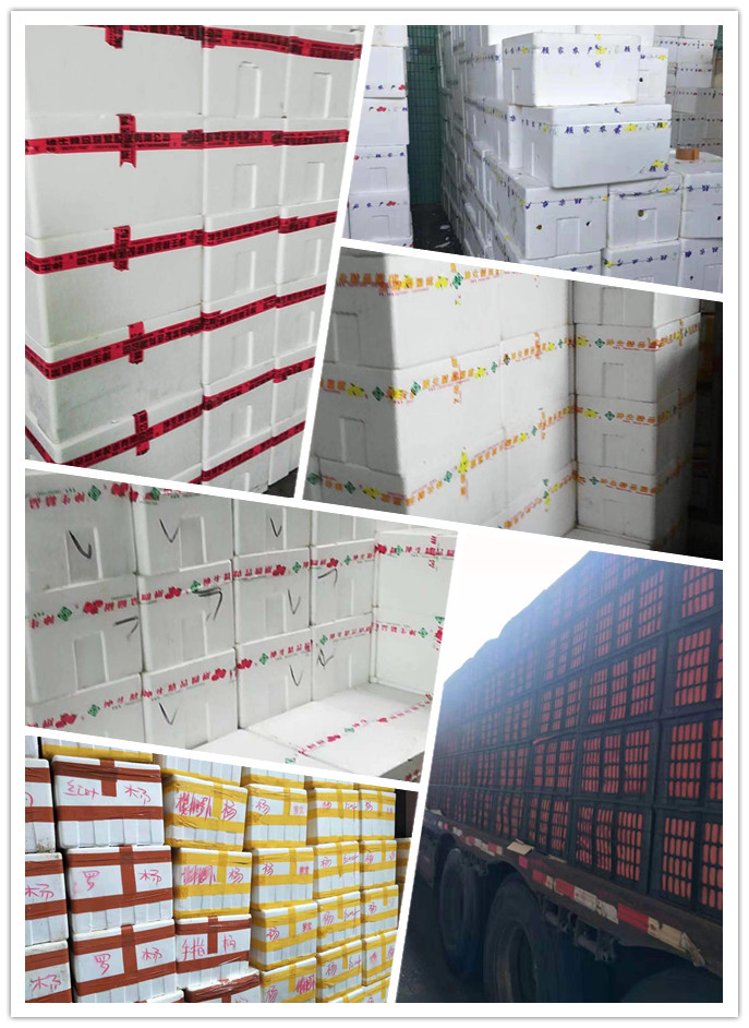 首页| PA视讯集团中国官方网站