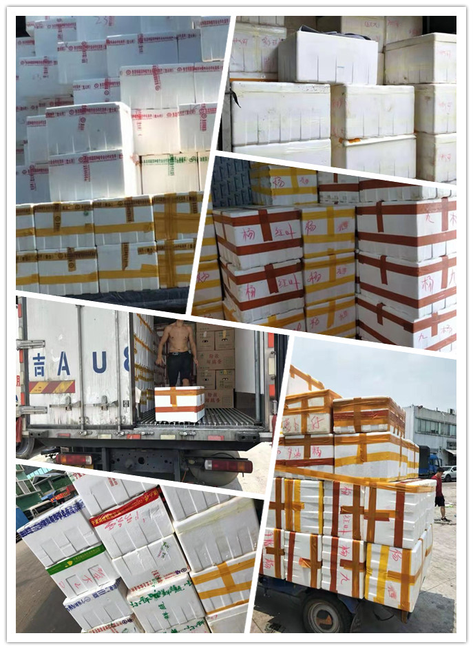 首页| PA视讯集团中国官方网站