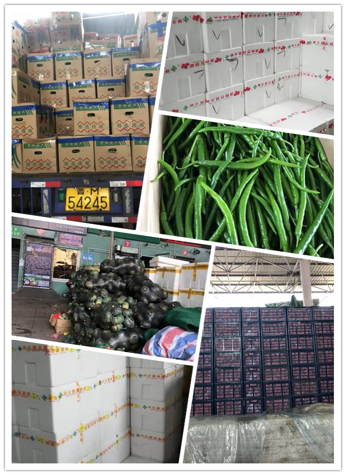 首页| PA视讯集团中国官方网站