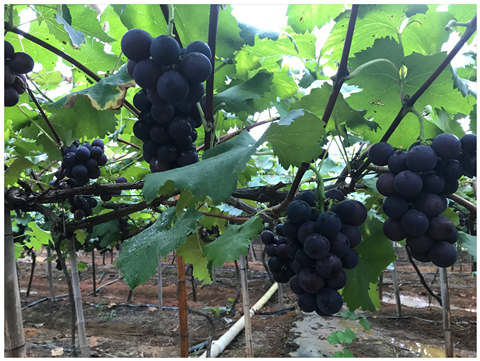 首页| PA视讯集团中国官方网站