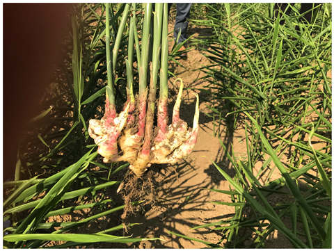 首页| PA视讯集团中国官方网站