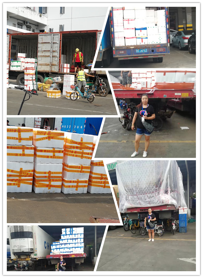 首页| PA视讯集团中国官方网站