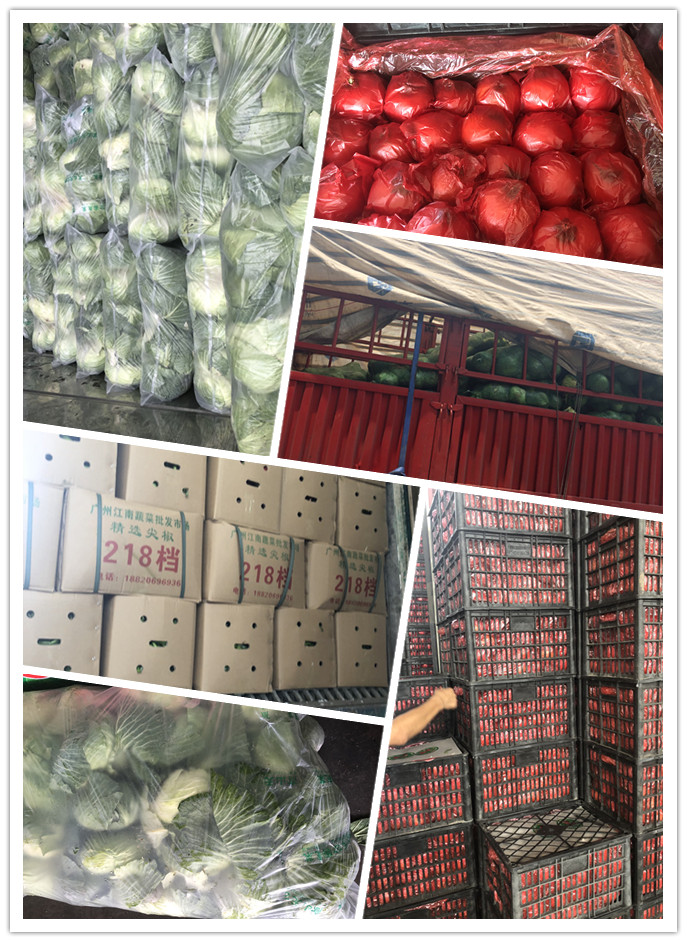 首页| PA视讯集团中国官方网站