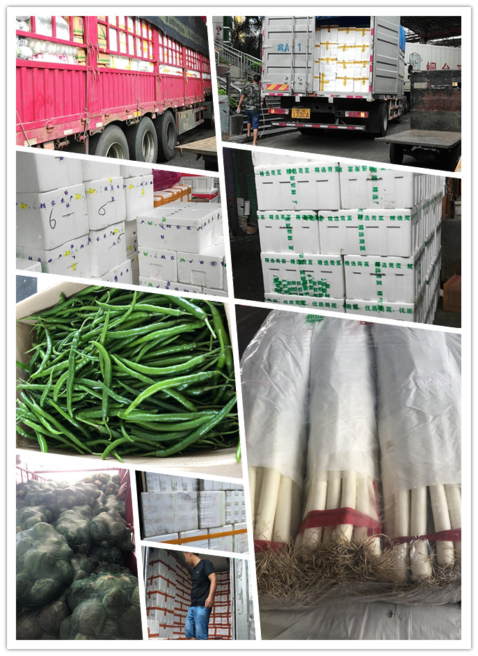 首页| PA视讯集团中国官方网站