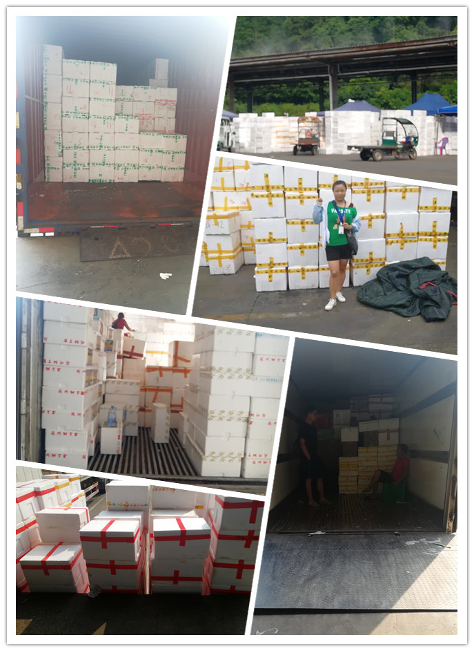 首页| PA视讯集团中国官方网站