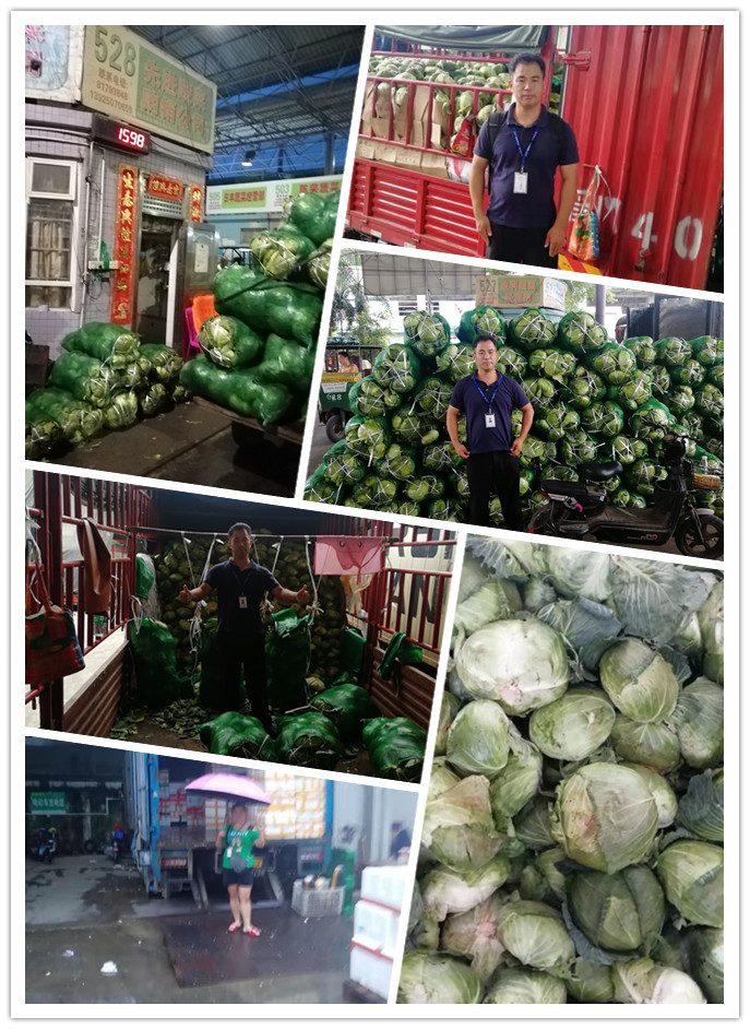 首页| PA视讯集团中国官方网站